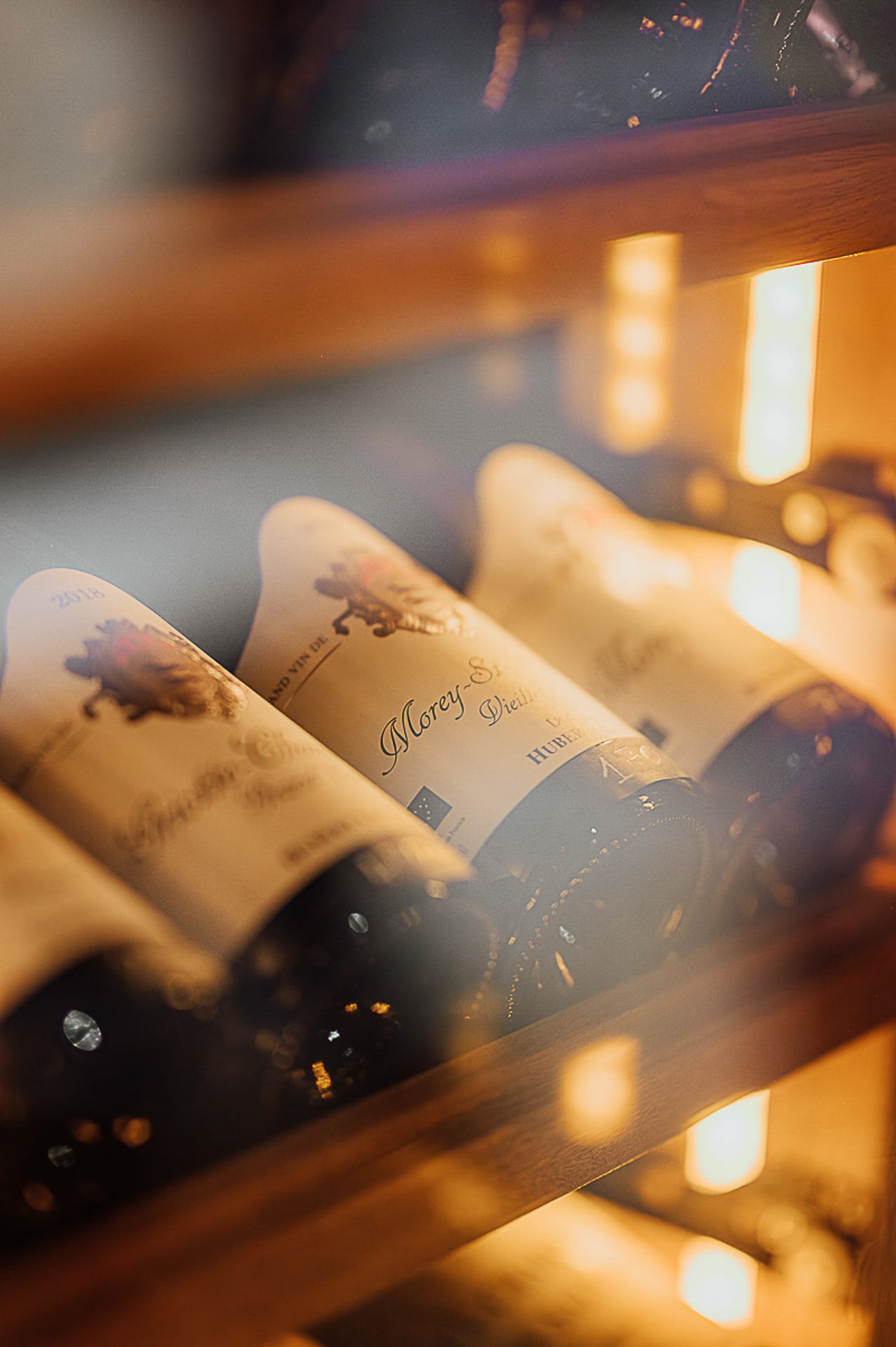 Lea Tardat photograhe corporate bordeaux 25